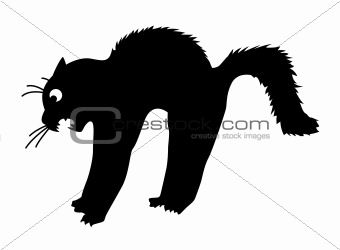 vector silhouette of the cat on white background