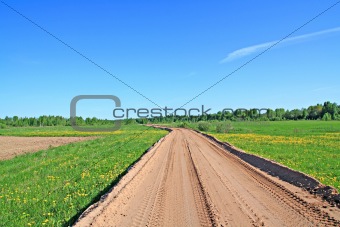 road on field
