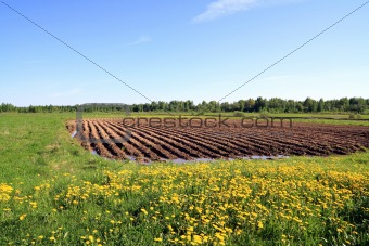 plow field