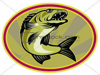 walleye fish jumping