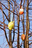 Nice Easter eggs decoration