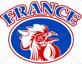 rugby rooster mascot france