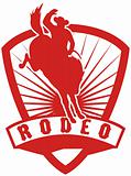 Rodeo Cowboy bucking bronco