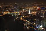 Huangpu River and Nanpu Bridge at night. Shanghai, China