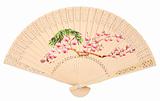 Beautiful Chinese fan isolated over white background