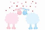 love sheep