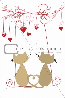 two cats on swing