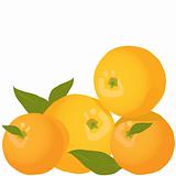 some oranges