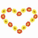 flower heart from gerbera and sunflower