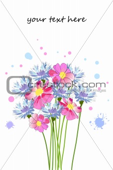 bouquet of cornflower and pink flowers