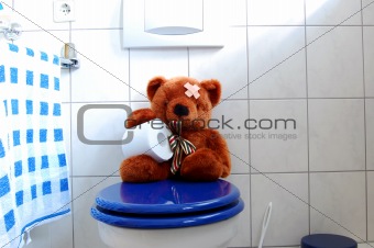 toy teddy bear on wc toilet