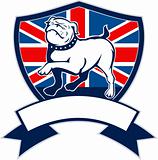 Proud english bulldog british flag shield