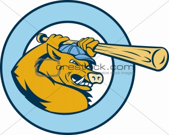 Razorback wild pig playing baseball bat