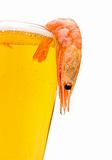 glass of light beer and shrimp on a white background