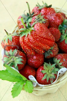 fresh ripe organic strawberries wonderful dessert