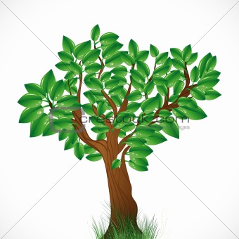 Natural background with green tree and grass.