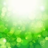 Fresh lime blur background with sunlight spots.