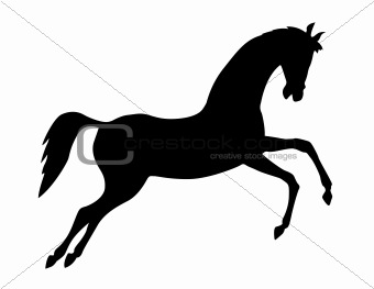 vector silhouette on white background