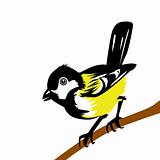 vector drawing tomtit on white background