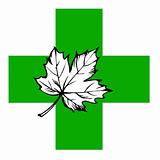 maple leaf on green cross