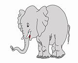 vector drawing elephant on white background