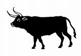 vector illustration oxen on white background