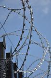 Barbed wire fence at the prison
