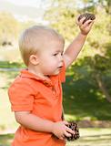 Cute Young Baby Boy Portrait Holding Pine Cones in The Park.