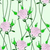 Seamless  background with flower roses.
