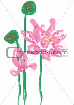 Lotus flower and seedpod