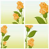 beautiful roses backgrounds