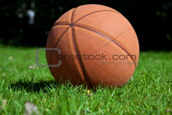 Basket ball in park
