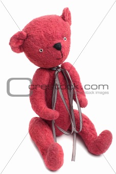 Vintage Teddy Bear isolated on white