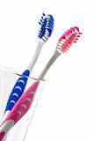 two toothbrushes in glass isolated