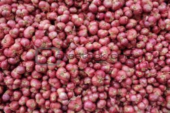 Abundance of red onions