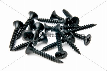 small handful of black screws
