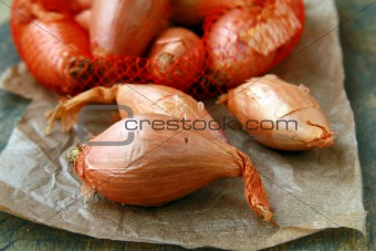 elite class onion shallot  on a wooden background