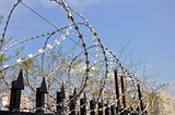 Barbed wire fence at the prison