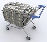 Shopping Cart (Spend Economy)
