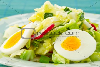 Spring salad of cabbage and radishes