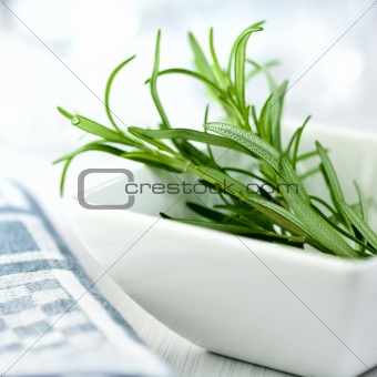 Fresh rosemary in a white bowl
