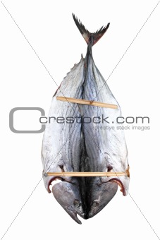 bonito tuna salted dried fish Mediteraranean sarda