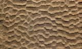 beach sand waves pattern texture brown wet