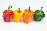 Four coloured peppers