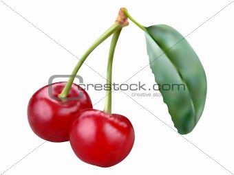 Two vector cherries illustration