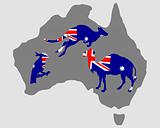 Australian animals