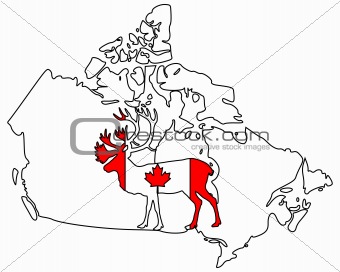 Canadian Caribou