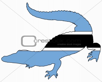 Crocodile Botswana