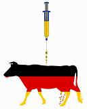 German cow and european cash injection