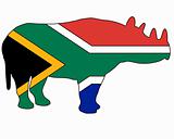 South african rhino